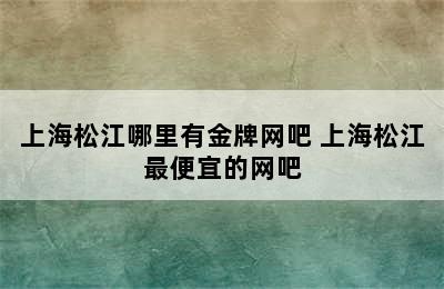 上海松江哪里有金牌网吧 上海松江最便宜的网吧